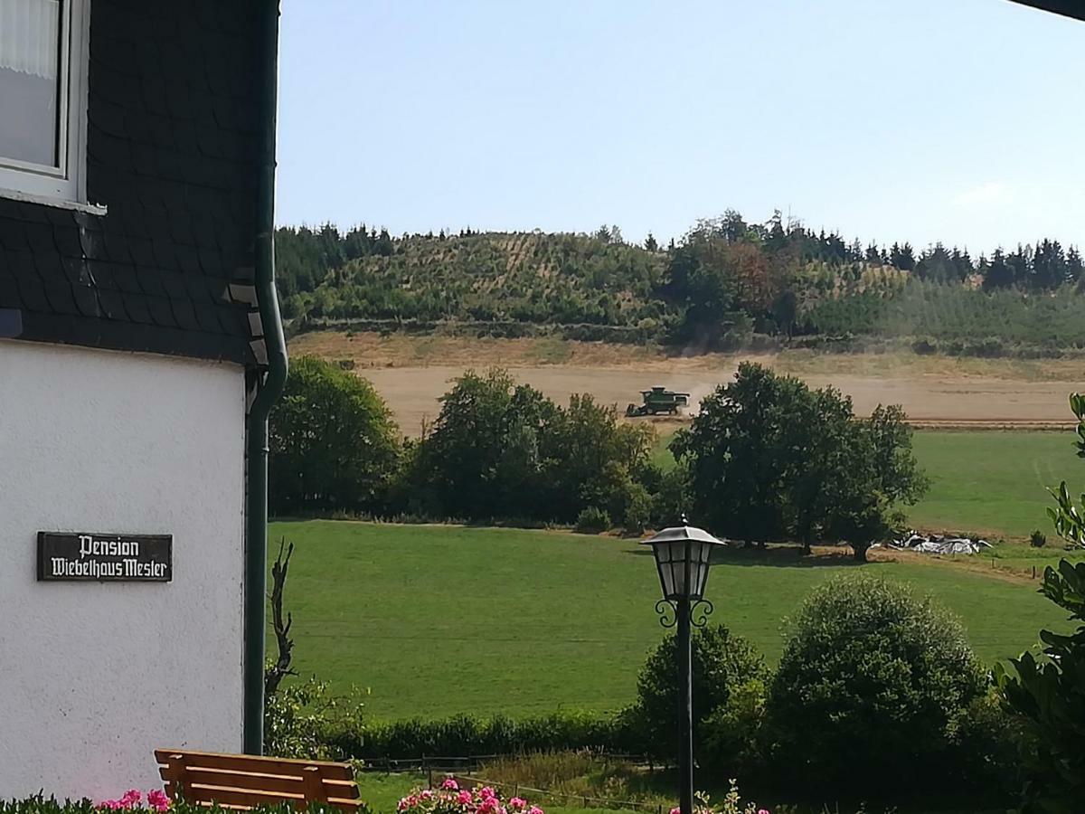 Bauernhofpension Wiebelhaus-Mester Леннештадт Екстер'єр фото